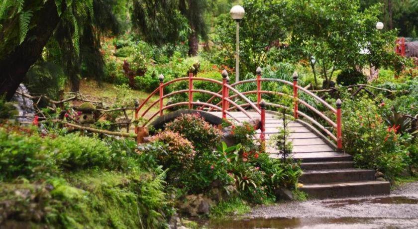 Citylight Hotel Baguio City Dış mekan fotoğraf